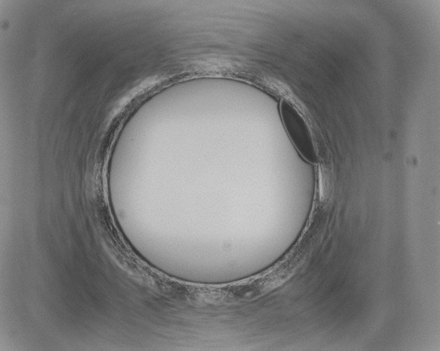 X0000081290579200701251655