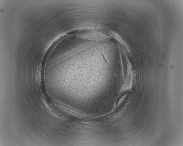 X0000081290580200701251655