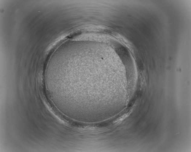 X0000081290581200701251655