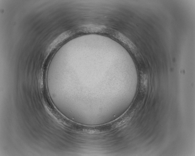 X0000081290582200701251655