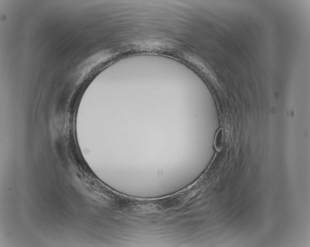 X0000081290583200701251655