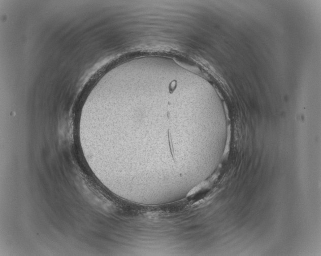 X0000081290584200701251655