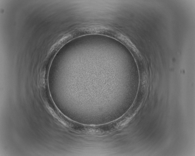 X0000081290585200701251655