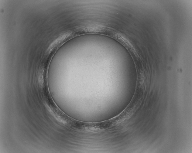 X0000081290586200701251655