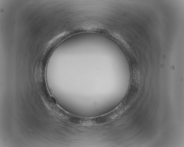 X0000081290587200701251655