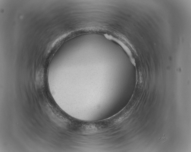 X0000081290588200701251655