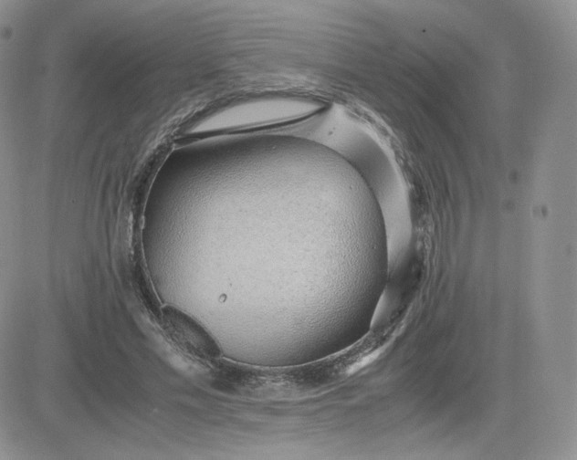 X0000081290589200701251655