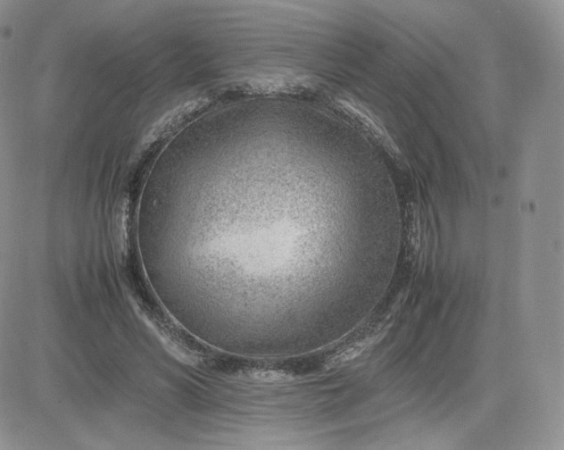 X0000081290590200701251655