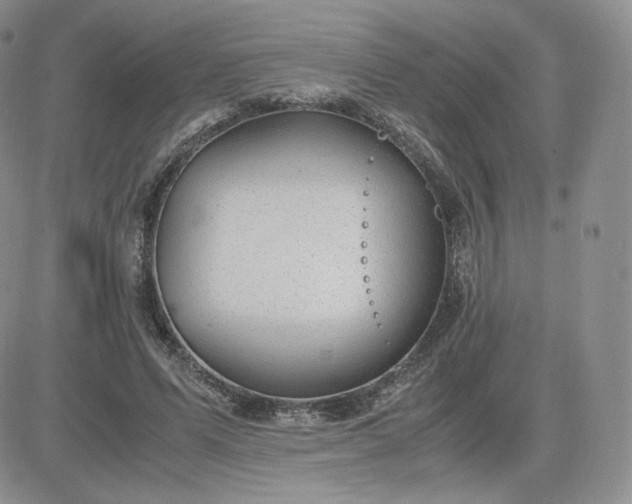 X0000081290591200701251655