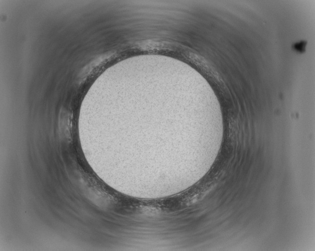 X0000081290592200701251655