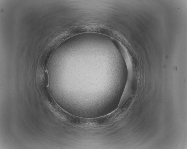 X0000081290593200701251655