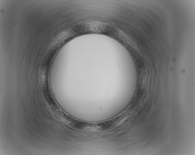 X0000081290595200701251655