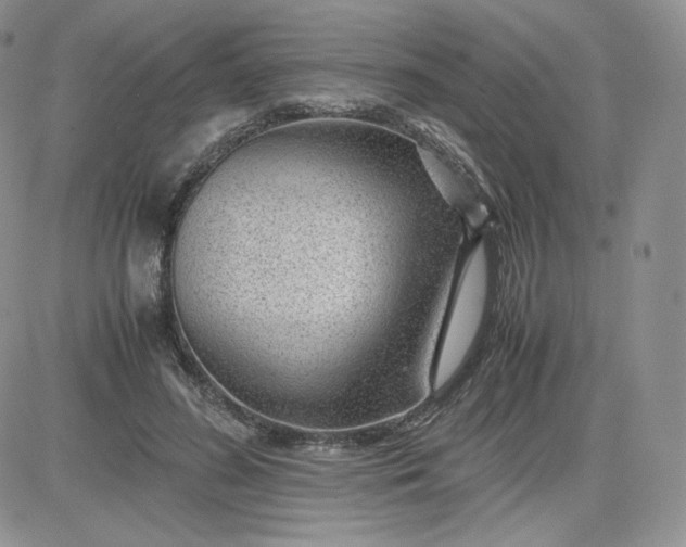 X0000081290596200701251655