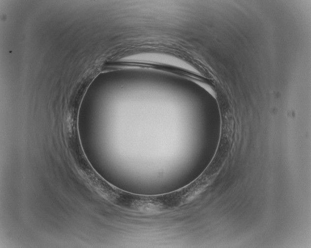 X0000081290597200701251655