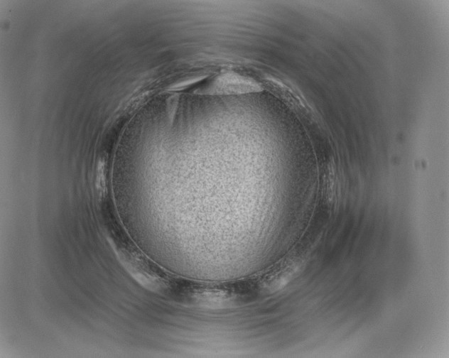 X0000081290598200701251655