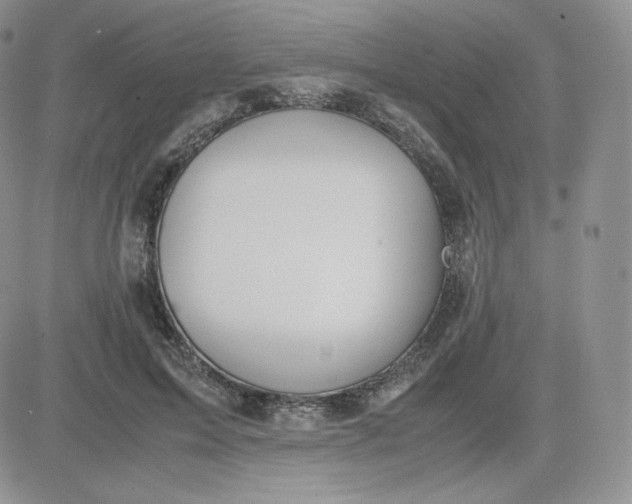 X0000081290599200701251655