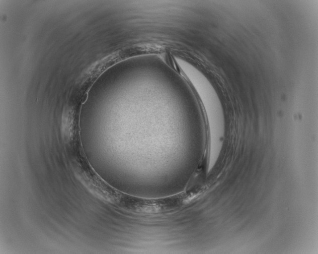 X0000081290600200701251655