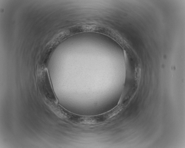 X0000081290601200701251655