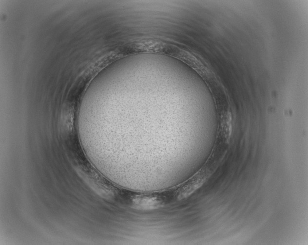 X0000081290602200701251655