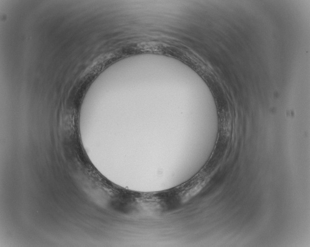 X0000081290603200701251655