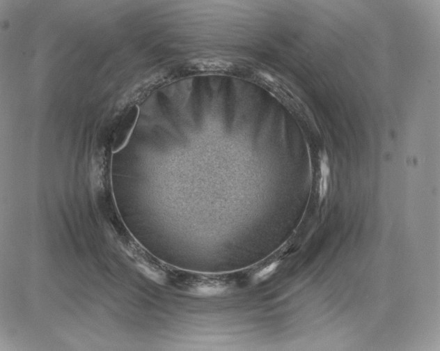 X0000081290604200701251655