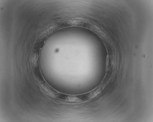 X0000081290605200701251655