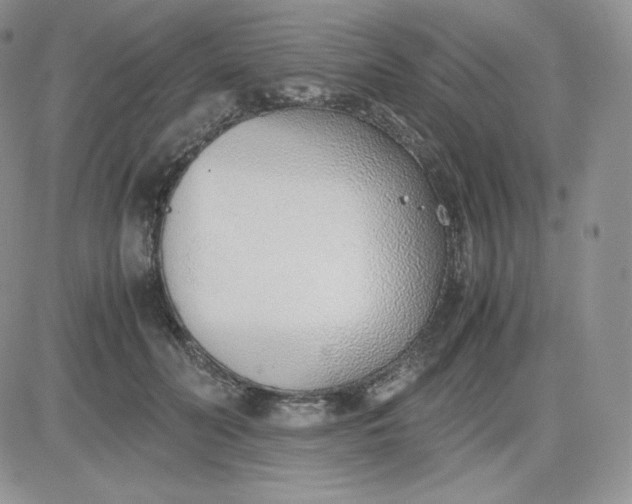 X0000081290606200701251655