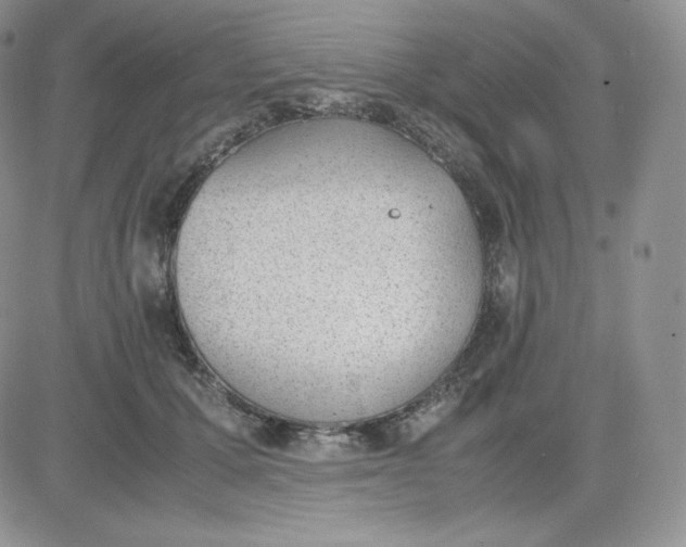 X0000081290607200701251654