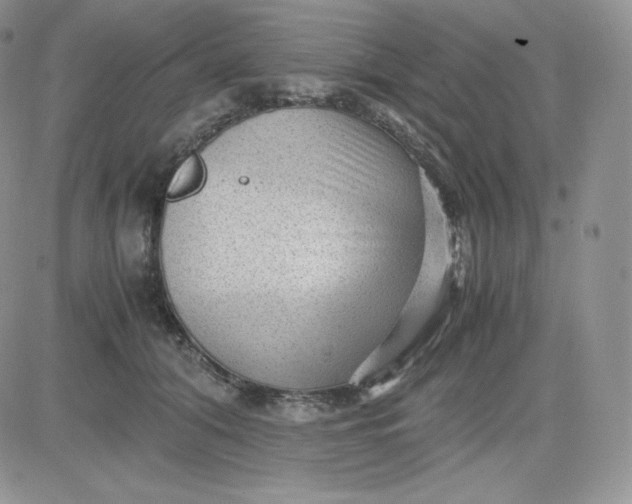 X0000081290608200701251654