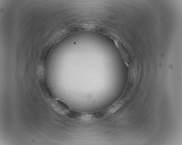 X0000081290609200701251654