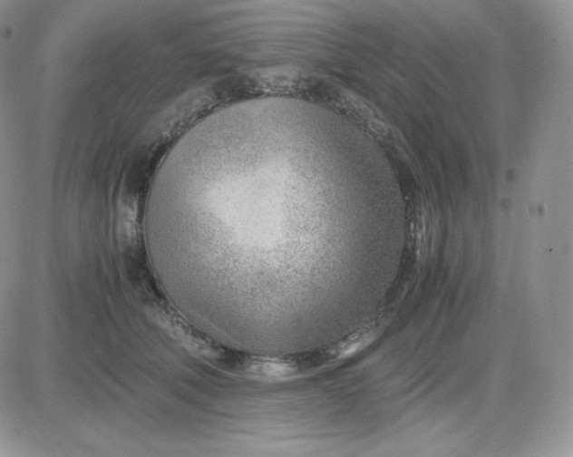 X0000081290610200701251654