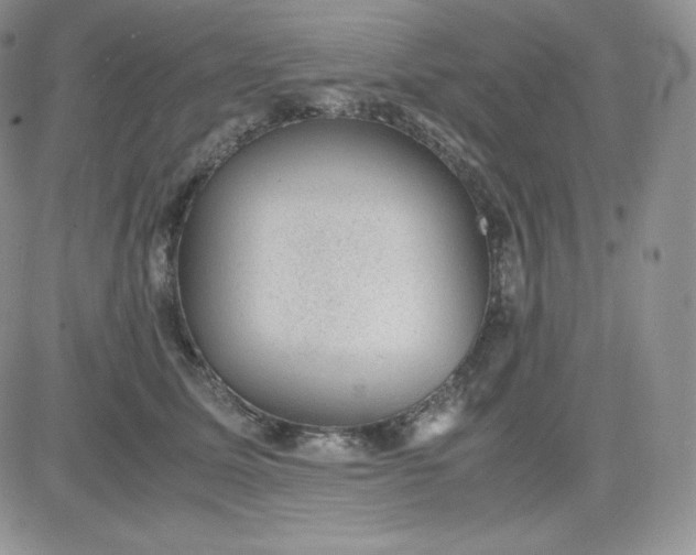 X0000081290611200701251654