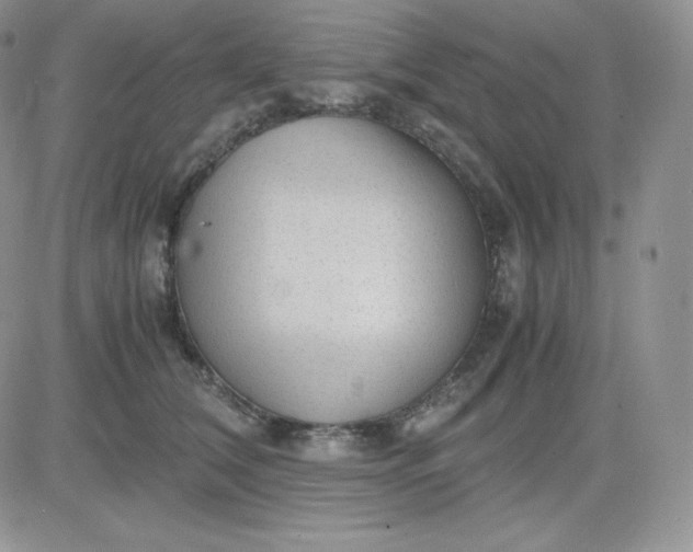 X0000081290612200701251654