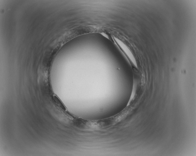 X0000081290613200701251654