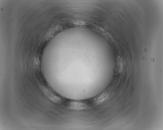 X0000081290614200701251654