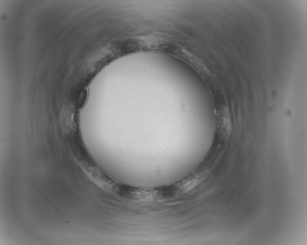 X0000081290615200701251654