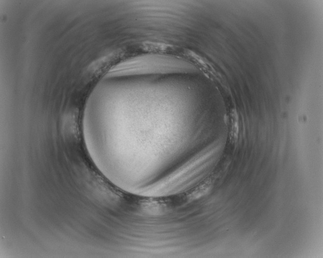 X0000081290616200701251654