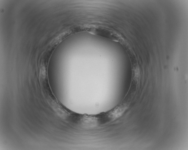 X0000081290617200701251654