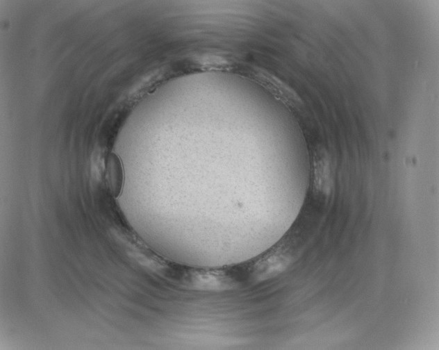 X0000081290618200701251654