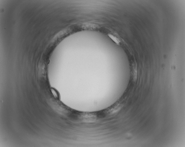 X0000081290619200701251654