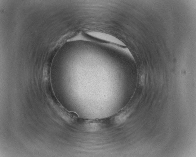 X0000081290620200701251654