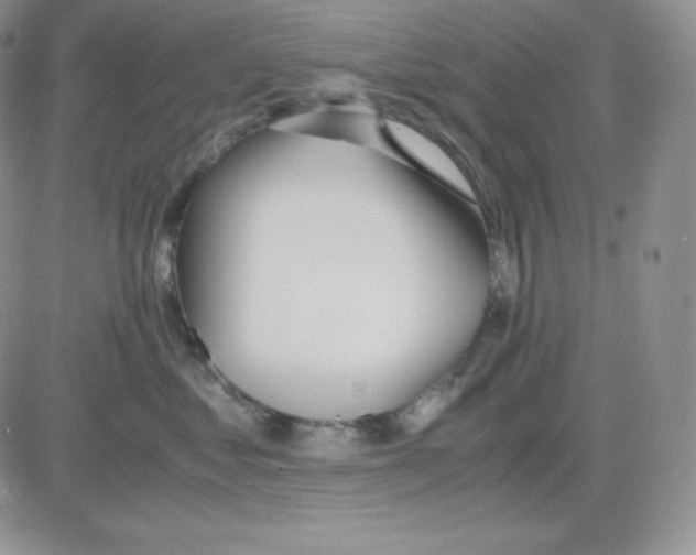 X0000081290621200701251654