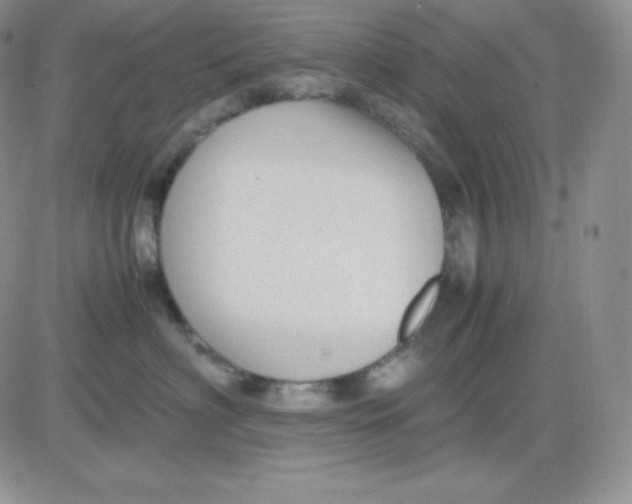 X0000081290622200701251654