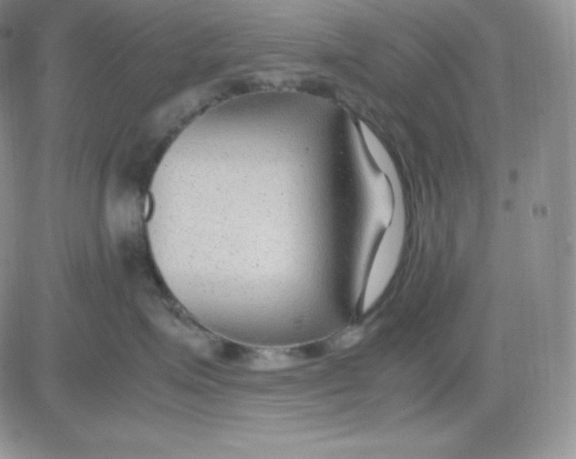 X0000081290623200701251654