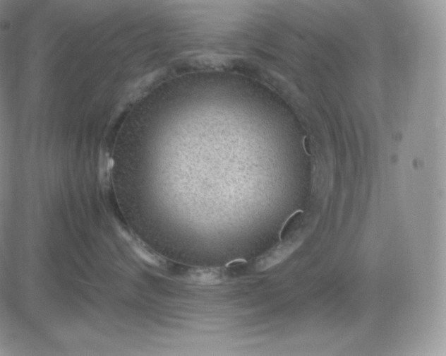 X0000081290624200701251654