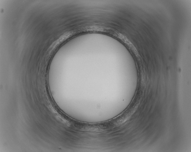 X0000081290625200701251653