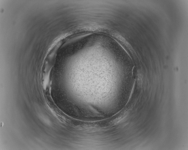 X0000081290626200701251653