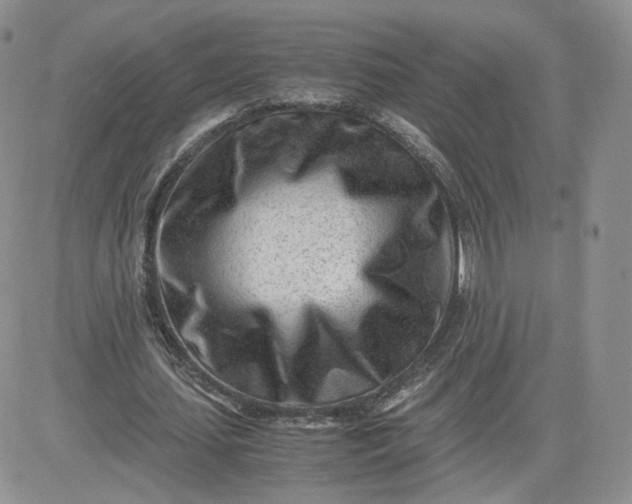 X0000081290627200701251653