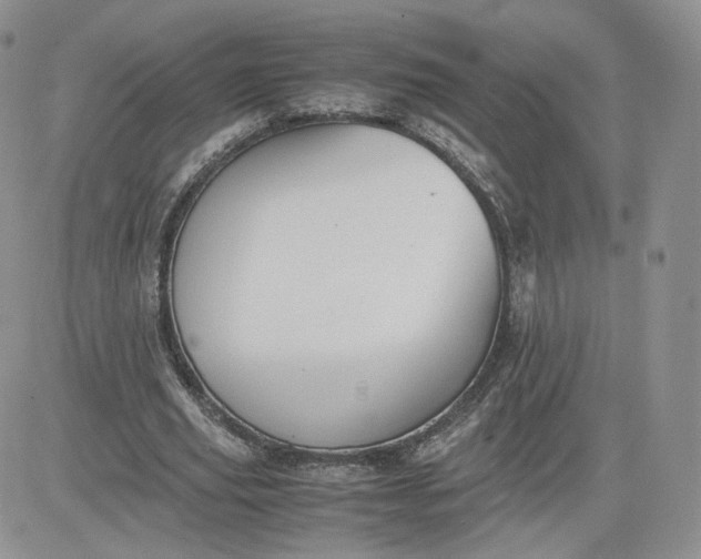 X0000081290629200701251654