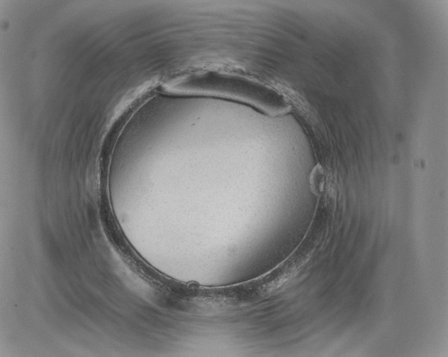 X0000081290630200701251654